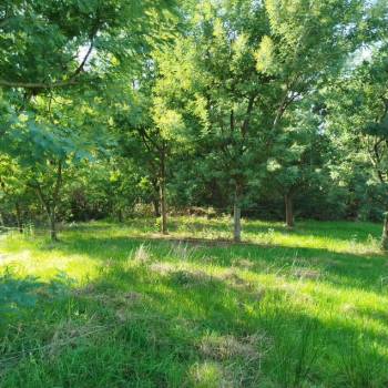 Продается Участок, 460 м²