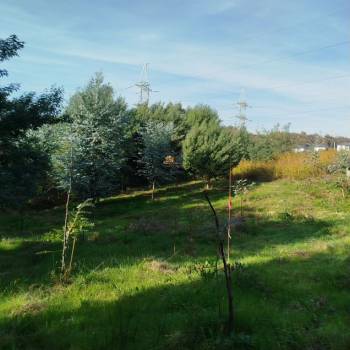 Продается Участок, 460 м²