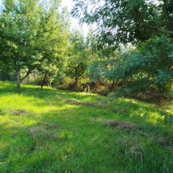 Продается Участок, 460 м²