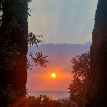 Сдается Дом, 300 м²