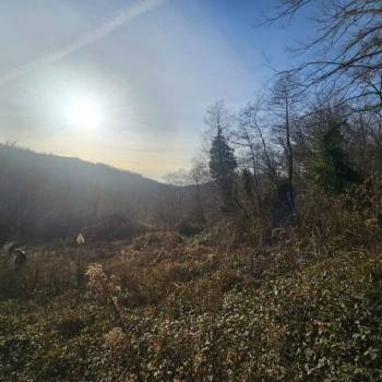 Продается Участок, 1000 м²