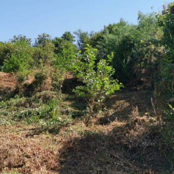 Продается Участок, 600 м²