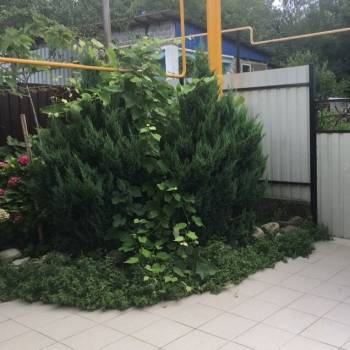 Сдается Дом, 30 м²