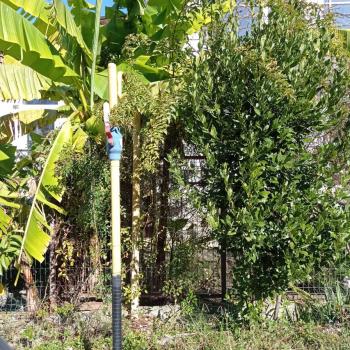 Продается Участок, 600 м²