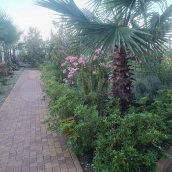 Сдается 2-х комнатная квартира, 48 м²