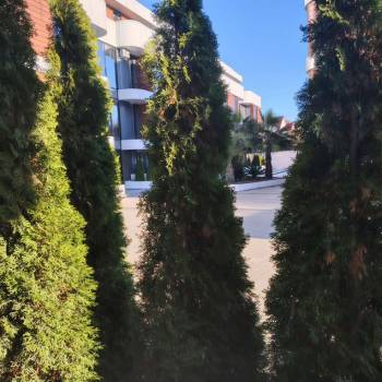 Продается 2-х комнатная квартира, 55 м²