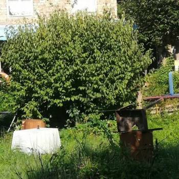 Продается Дом, 50 м²