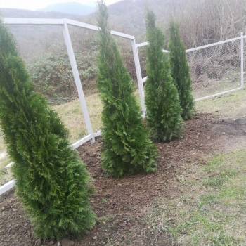 Продается Участок, 300 м²