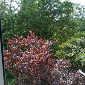 Продается 1-комнатная квартира, 32 м²