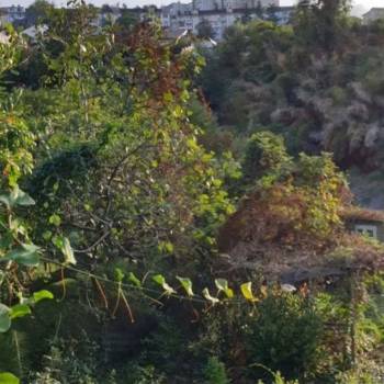 Продается Участок, 800 м²