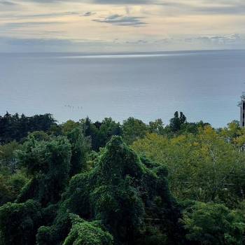 Продается 2-х комнатная квартира, 41,9 м²