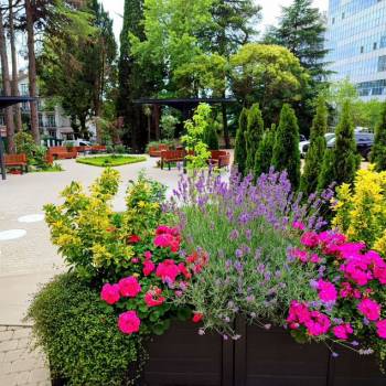 Сдается 1-комнатная квартира, 24 м²