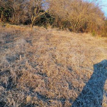 Продается Участок, 450 м²