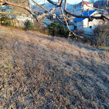 Продается Участок, 450 м²