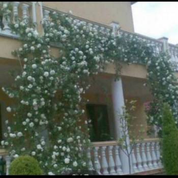 Продается Дом, 373 м²