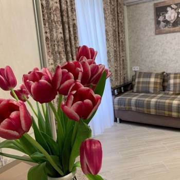 Сдается 1-комнатная квартира, 28 м²