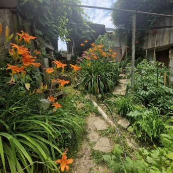 Продается Участок, 700 м²