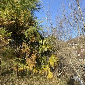 Продается Участок, 520 м²