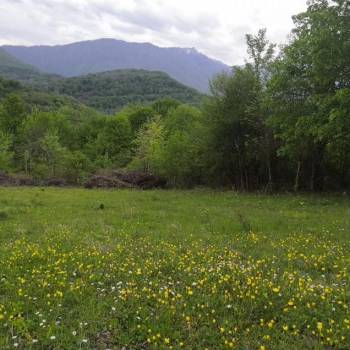 Продается Участок, 500 м²