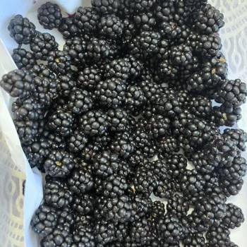 Продается Участок, 500 м²