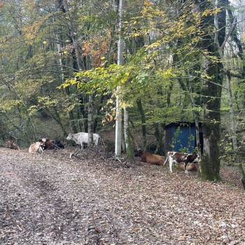 Продается Участок, 2200 м²