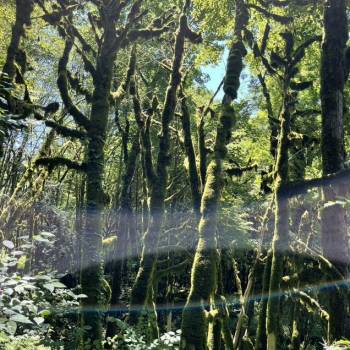 Продается Участок, 2200 м²