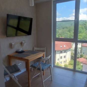 Сдается 1-комнатная квартира, 25,4 м²