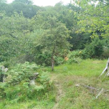 Продается Участок, 1000 м²