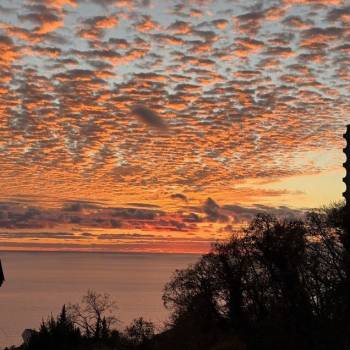 Сдается Нежилое помещение, 20 м²