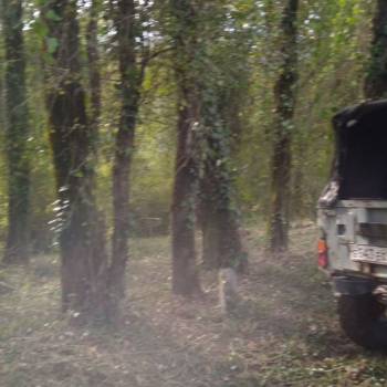 Продается Участок, 600 м²