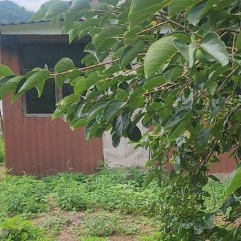 Продается Участок, 680 м²