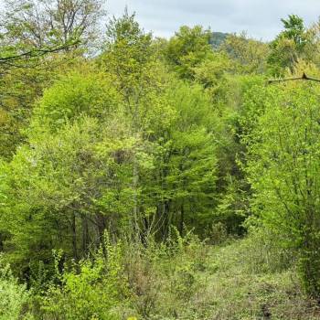 Продается Участок, 530 м²