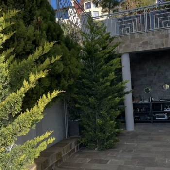 Продается Дом, 200 м²