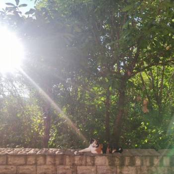 Продается 1-комнатная квартира, 26,7 м²