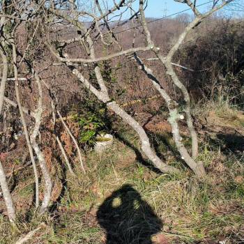 Продается Участок, 600 м²