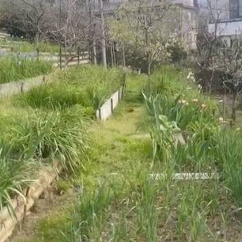 Продается Участок, 450 м²