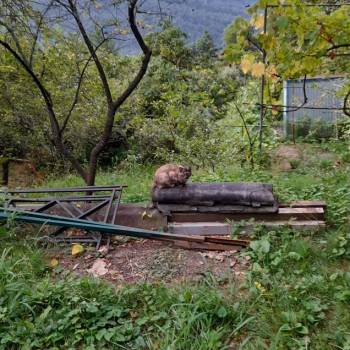 Продается Участок, 740 м²