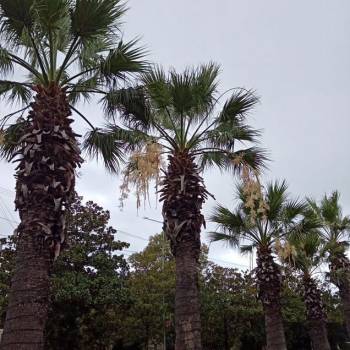 Продается 1-комнатная квартира, 43 м²