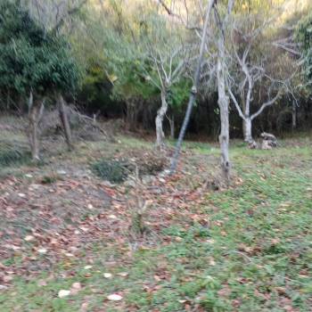 Продается Участок, 500 м²