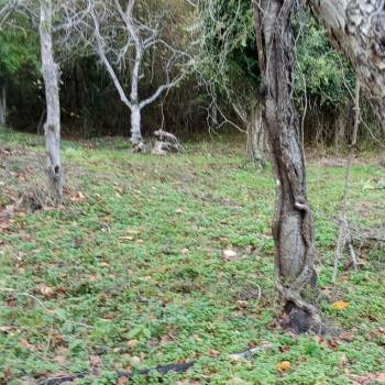 Продается Участок, 500 м²