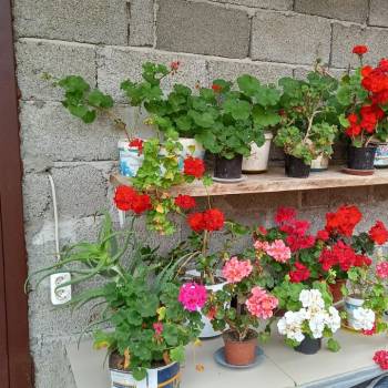 Продается Дом, 34,3 м²