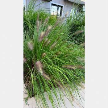 Продается 2-х комнатная квартира, 42,5 м²