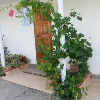 Продается Дом, 101 м²