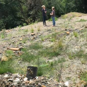 Продается Участок, 500 м²