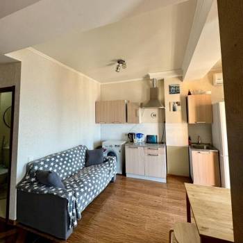 Продается 1-комнатная квартира, 29,2 м²