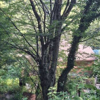 Продается Участок, 440 м²