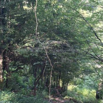 Продается Участок, 440 м²