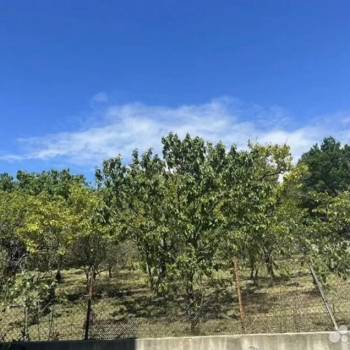 Продается Участок, 500 м²