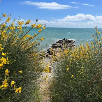 Сдается Дом, 20 м²