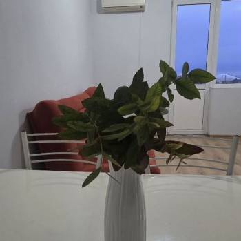 Сдается Комната, 45 м²